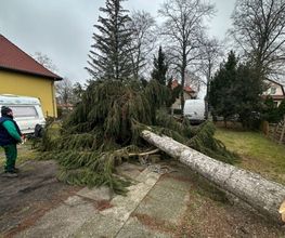 Limaj - Garten und Gebäudeservice Bild 11