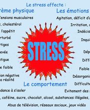 Eric Renault image 3