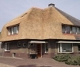 Aasman Rietdekkersbedrijf