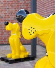 DAS FUTTERHAUS - Bargteheide Bild 3