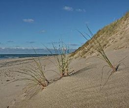 Buchungszentrum Sylt Bild 2