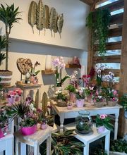 Galley fleurs Bild 5