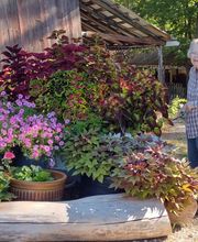 Paradise Park image 14