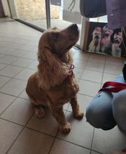 Pluto Chouet' image 5