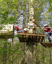 Atout Branches image 4