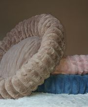 Animotopia Puppy Saint Pol de Leon image 3