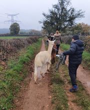 Les Psytrucs de Shana image 5