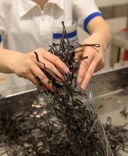 Alfieri Suisse Sagl Bild 5