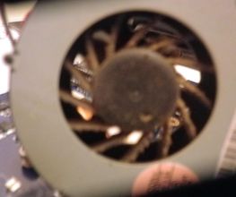 Pc Speed image 7