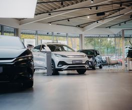 STERNAUTO Bild 10