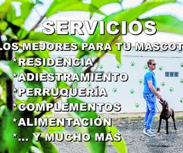 RESIDENCIA CANINA SORIA imagen 1