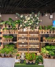 Søstrene Grene image 1