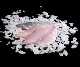 TRANSGOURMET image 6