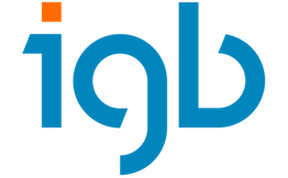 igb AG