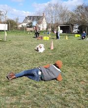 Agil'Canin 36 image 15