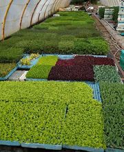 El Rincón del Hortelano imagen 2