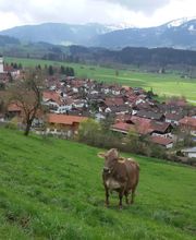 FeWo Schlichtherle Bild 3