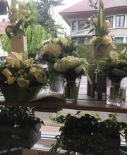 Donzier Fleurs image 16