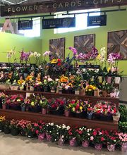 Holiday Market image 7