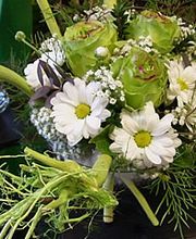 Floristik natürlich Bild 4