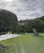 Le Jardin De Mes Reves Conan image 18