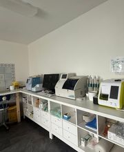 Dr Teixeira Micael Bild 6