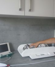 Tierarztpraxis Sieber Bild 3