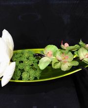 Floristería Imabel imagen 15