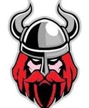 Vikings Prévention Incendie image 13