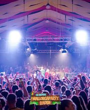 SD Fotografie Bild 8