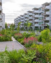 Göldi AG Gartenbau und Sportplatzbau Bild 3