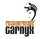 La Ressourcerie Du Carnyx