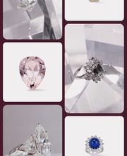 Altmann Collection image 7