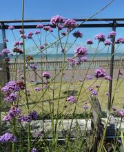 Golf Miniature SARL image 16