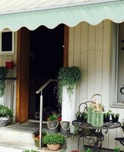 Blumen Müller Bild 1