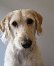 PRINZIP E GMBH Bild 5