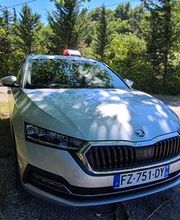 SAS ALBIN TAXIS image 9