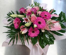 L'ANTHURIUM ROUGE image 7