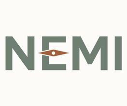 NEMI Travel imagen 2