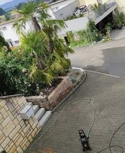 Butler Hallwil - Theodor Ryser Bild 4