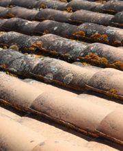 Alaric Couverture image 2