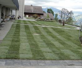 Patric Gartenbau Bild 5