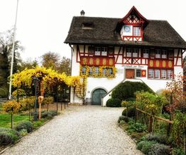 Wirtschaft zur Burg Bild 5