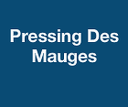 Pressing et Couture image 3
