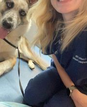 Country Hills Veterinary Hospital: Greene Mark DVM image 4