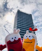 Plasminchen und Transfusius vor dem Oderturm
Haema Blutspendezentrum Frankfurt (Oder)
Komplex "Der Oderturm" | Karl-Marx-Str. 2 | 15230 Frankfurt (Oder) | Fon 0335 869 118 20