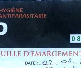 3D Conseil image 1