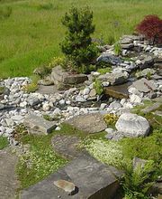 Bünter Gartenegestaltung und Pflege GmbH Bild 9