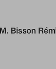 M. Bisson Rémi image 2