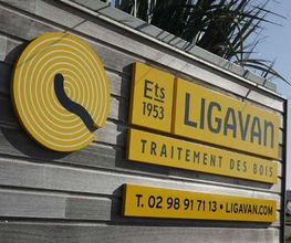 Ligavan Ets image 2